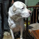 ���� ����, ���������� - ��������� 9 ��� 2019