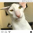 ���� ������, �����������, 50 ��� - ��������� 20 ������ 2019 � ������ ���� ����������