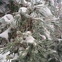 ���� ������ ������58, �������� - ��������� 10 ���� 2019 � ������ ������ ��������