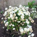 ���� �����, �������, 64 ���� - ��������� 9 ���� 2019 � ������ ������ ��������