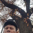 ���� ���������, ������, 57 ��� - ��������� 4 ������ 2020 � ������ ���� ����������