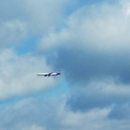 �����, ������