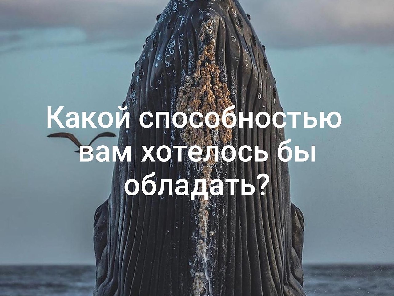 Супер способность. Какой сверхспособностью вы бы хотели обладать. Способность которой вам хотелось бы обладать. Какими суперспособностями хотели бы обладать. Какой супер способностью вы бы хотели обладать.