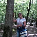 ���� �������, ������������ - ��������� 23 �������� 2019 � ������ ���� ����������
