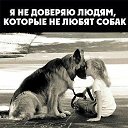 ���� �. �� �������, ������ �����, ��������� - ��������� 19 ������ 2019 � ������ ������ ��������