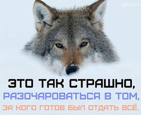   - 8  2019  10:08