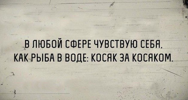   - 18  2019  15:08