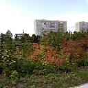 04.09.2019. �� ������� �߻