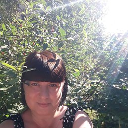 Elena, �����������, 54 ����