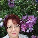 ���� �������, ���������, 64 ���� - ��������� 13 ���� 2019 � ������ ���� ����������