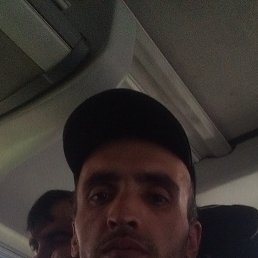 ���������, ������, 40 ���