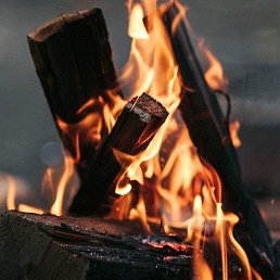 ���� ������, �����, 25 ��� - ��������� 6 ������ 2019