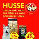  , - -  2  2019   Husse-