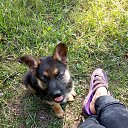 ���� ���������, �����������, 53 ���� - ��������� 23 ���� 2019 � ������ ���� ����������