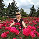 ���� ���������, �������, 59 ��� - ��������� 9 ���� 2019 � ������ ���� ����������