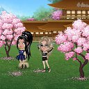  , , 105  -  6  2019   Tropikania