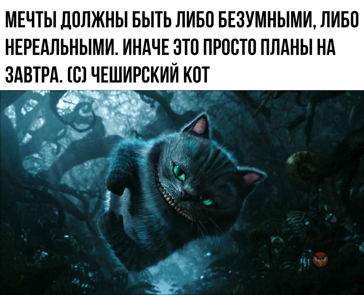 Как вызвать чеширского кота в домашних условиях
