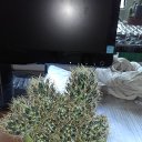 ���� ������ �������������, ������, 53 ���� - ��������� 17 ���� 2019 � ������ �������