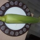 ���� Slavisa, �������, 54 ���� - ��������� 19 ���� 2019 � ������ ���� ����������