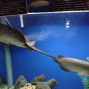 ���� �������, �������, 41 ��� - ��������� 11 ������� 2019 � ������ ���� ����������