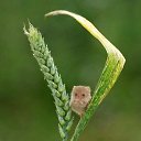 ���� Eva, ������������, 57 ��� - ��������� 21 �������� 2019 � ������ ���� ����������