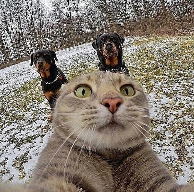       o o?