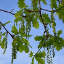 ���� ��������, ���������, 65 ��� - ��������� 23 ������ 2019 � ������ ���� ����������