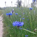 ���� Tadeusz, �����, 63 ���� - ��������� 14 ���� 2019 � ������ ���� ����������