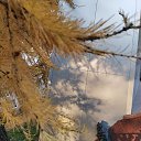  , , 50  -  9  2019    2019