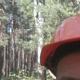 �����, ����