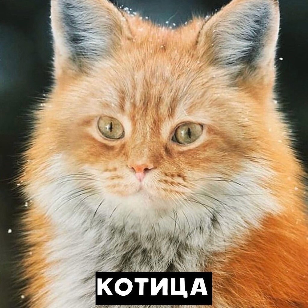     ?  ? - 3