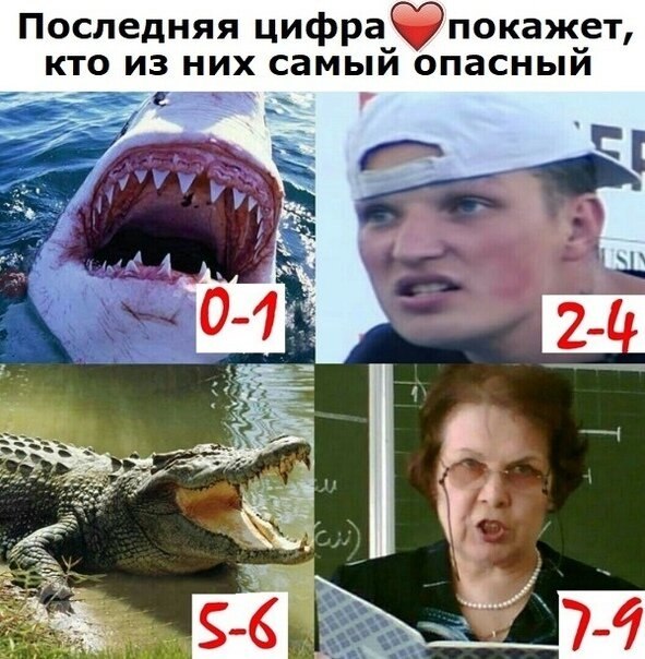 ? ,  ! - 11  2019  19:01