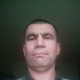 Sodik, ������, 50 ���