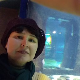 �������, �����������, 53 ����