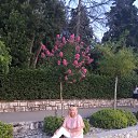 ���� ������, �����-���������, 63 ���� - ��������� 15 ������ 2019 � ������ �������