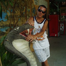 ������, �����������, 49 ���