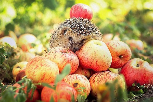   ,    . - 7  2019  15:40