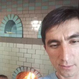 �����, ����, 46 ���