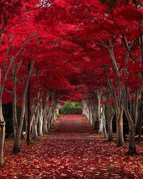    . Hokkaido Japan