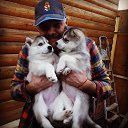 ���� ��������, ������, 59 ��� - ��������� 12 �������� 2019 � ������ ���� ����������