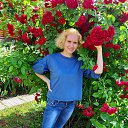 ���� ������, �����, 47 ��� - ��������� 2 ���� 2019 � ������ ������ ��������