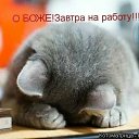 ���� ������, �������� - ��������� 22 ������ 2019