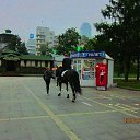 ���� ����, ������������, 40 ��� - ��������� 28 ���� 2019 � ������ ���� ����������