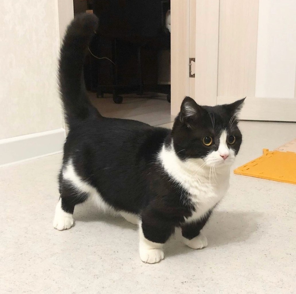       :3