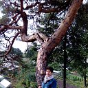  ,  , 59  -  10  2019    