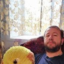 ���� �������, ����, 41 ��� - ��������� 16 �������� 2019 � ������ ���� ����������