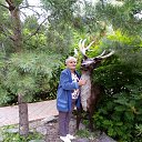 ���� ����, ����������, 62 ���� - ��������� 30 ���� 2019 � ������ ���� ����������