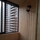 ���� ������, ������, 47 ��� - ��������� 22 ������� 2019