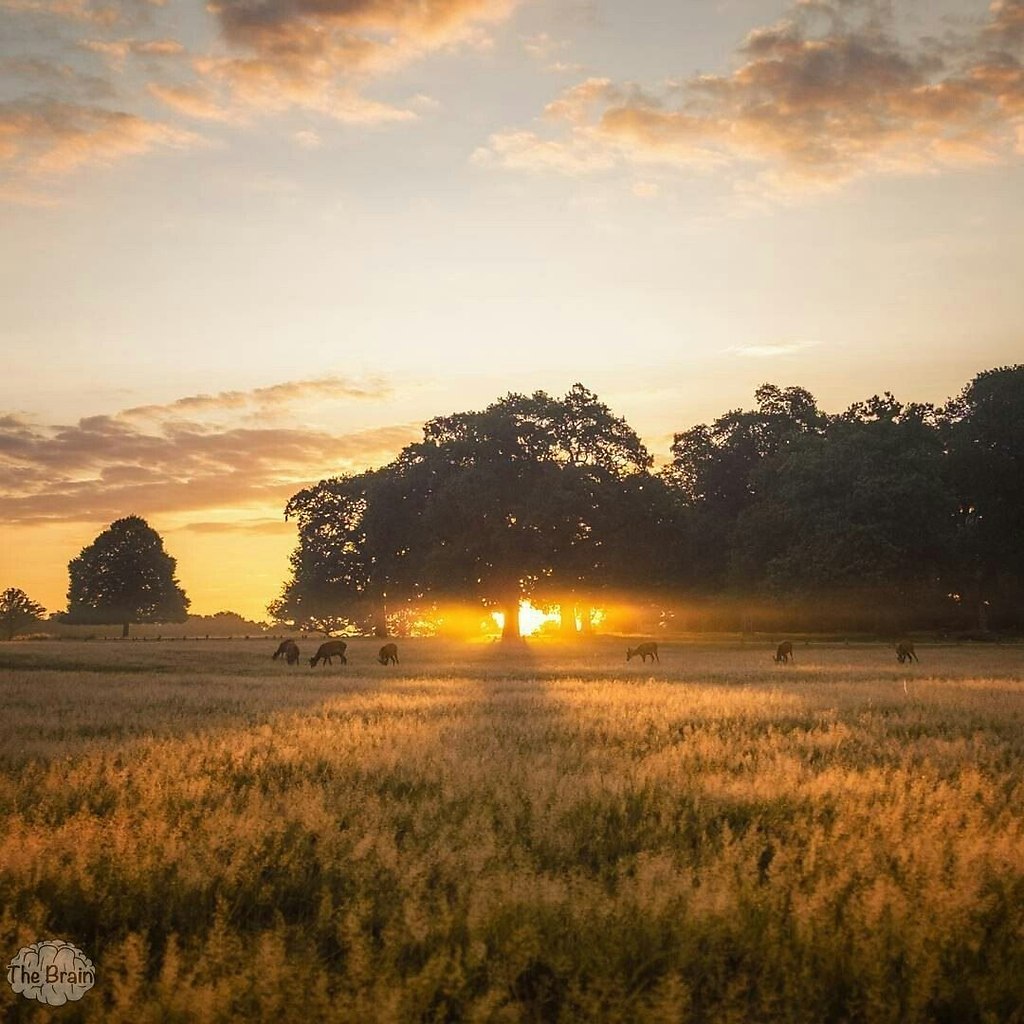 �����������, ��� ����� ������� ���� ��� ������ � ����� ��������. ����� ���������� ����������� - 2