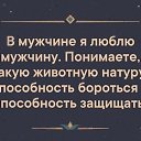 ���� ��������, ������, 49 ��� - ��������� 5 �������� 2019 � ������ ���� ����������